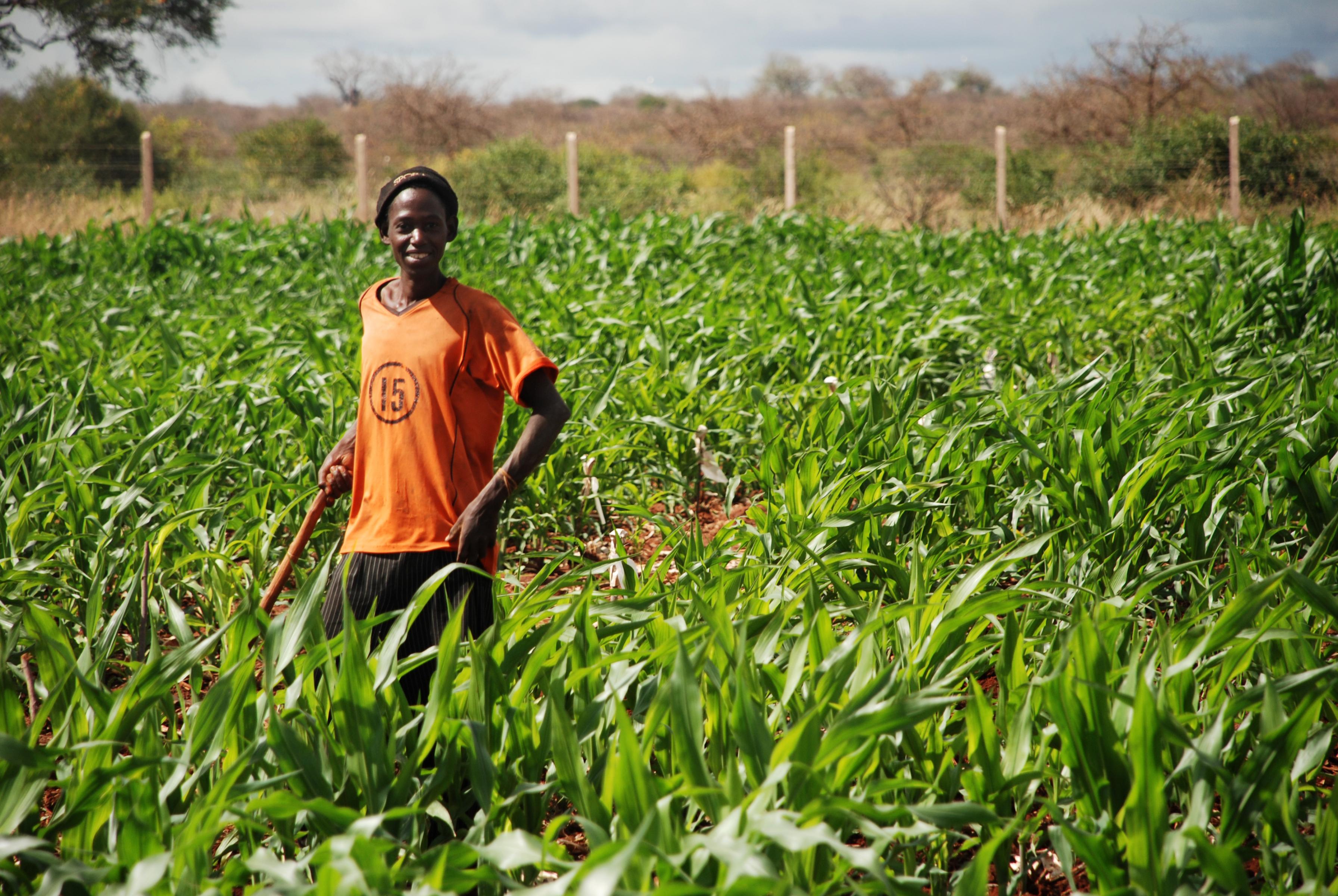 Transforming Ethiopia Through Agriculture Food Security Portal