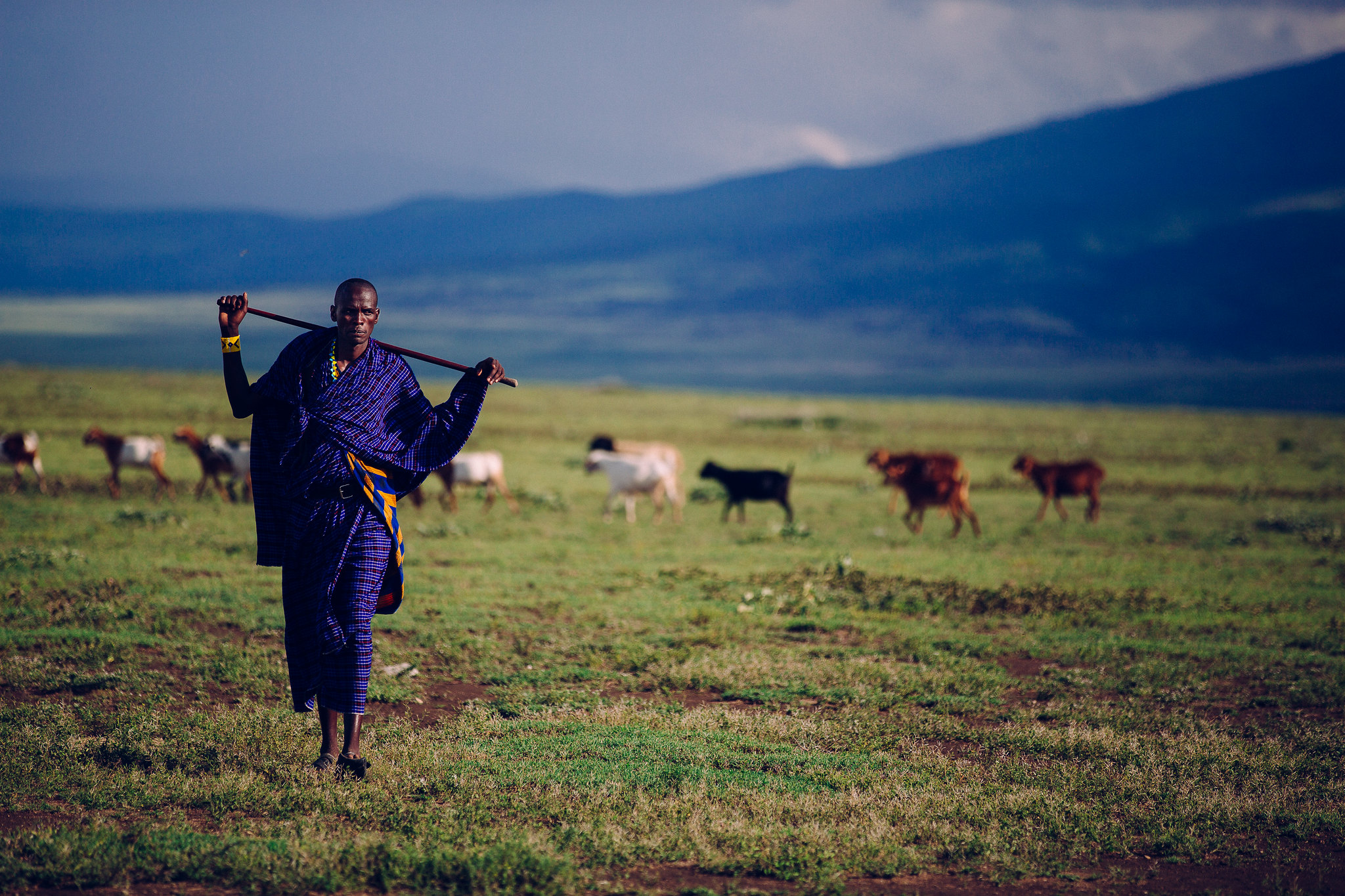 Explain Why African Farmers Settled And Were Not Nomadic