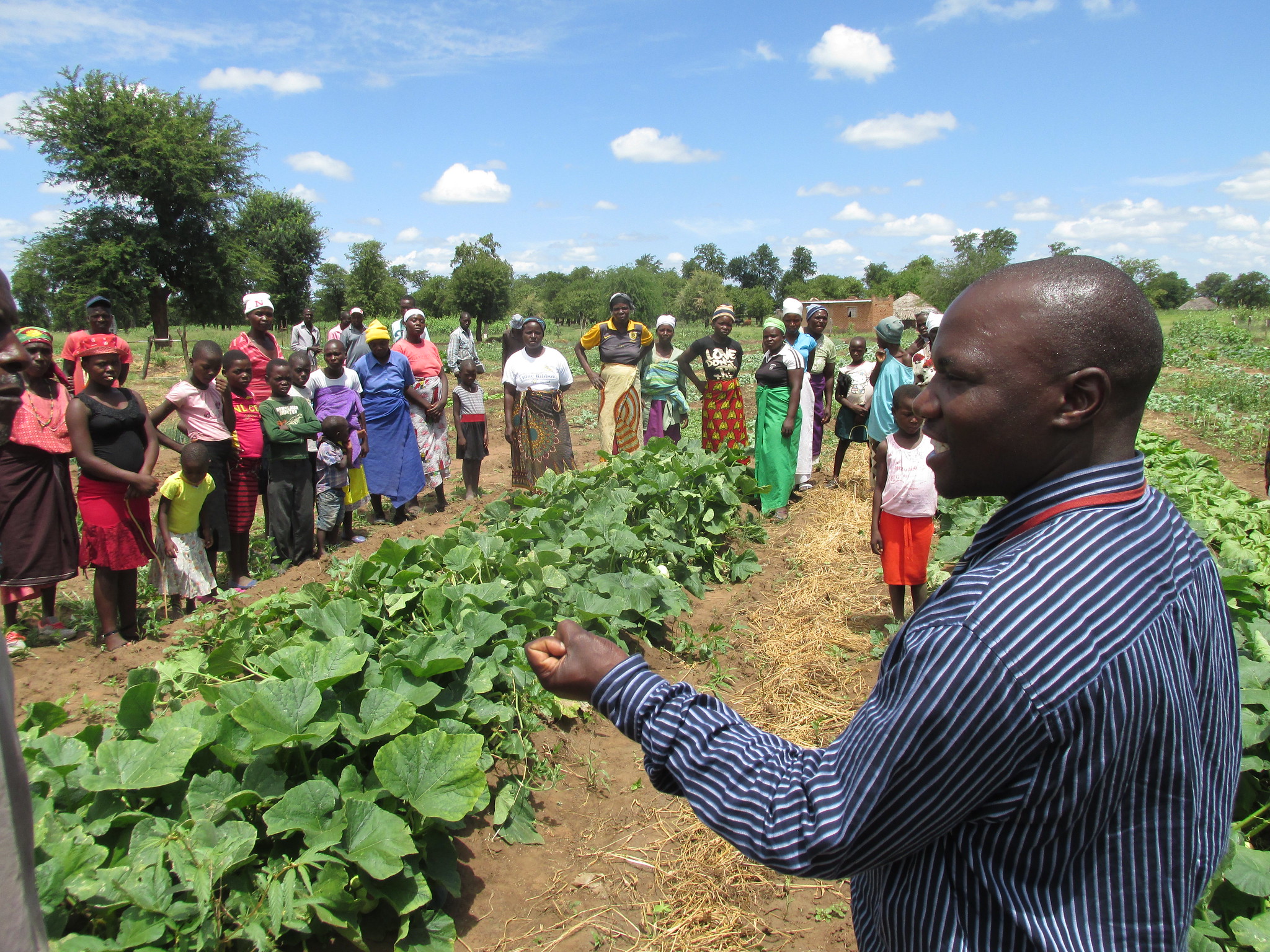 Disease control strategies to help prevent future rust outbreaks | Food ...