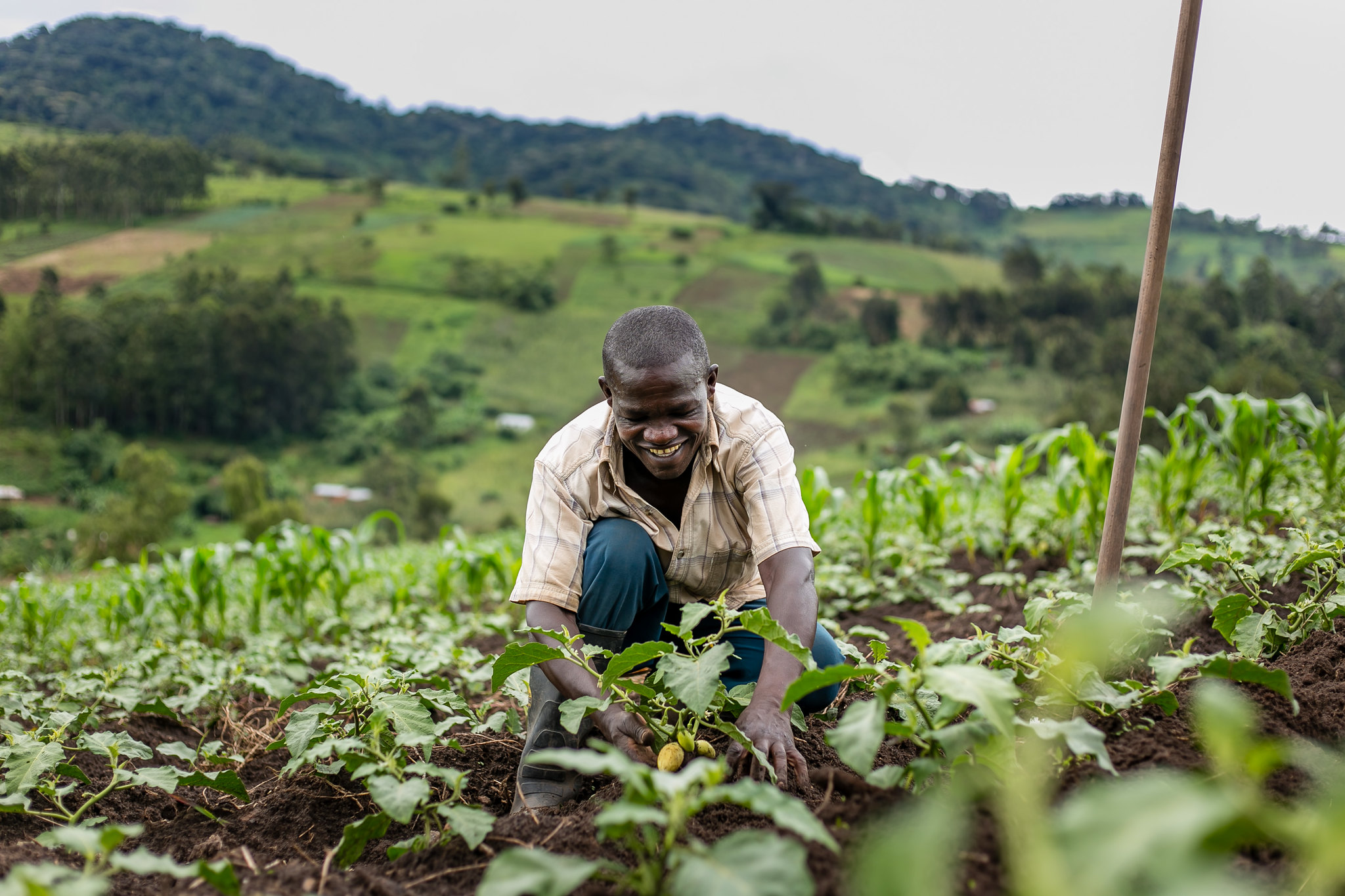 transforming-small-farms-from-subsistence-to-profit-food-security-portal