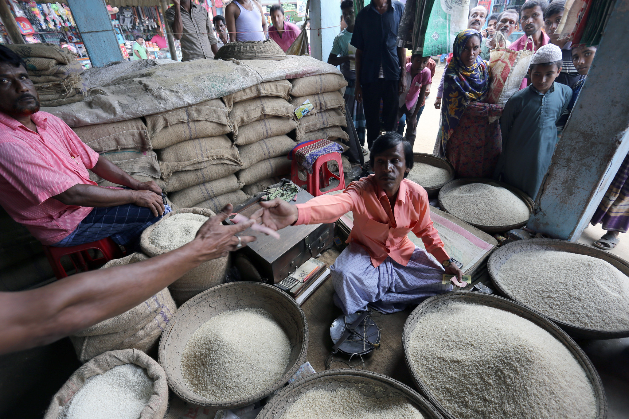 How India's Rice Export Bans Could Impact Regional Trade 