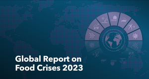 Global Report On Food Crises | Food Security Portal